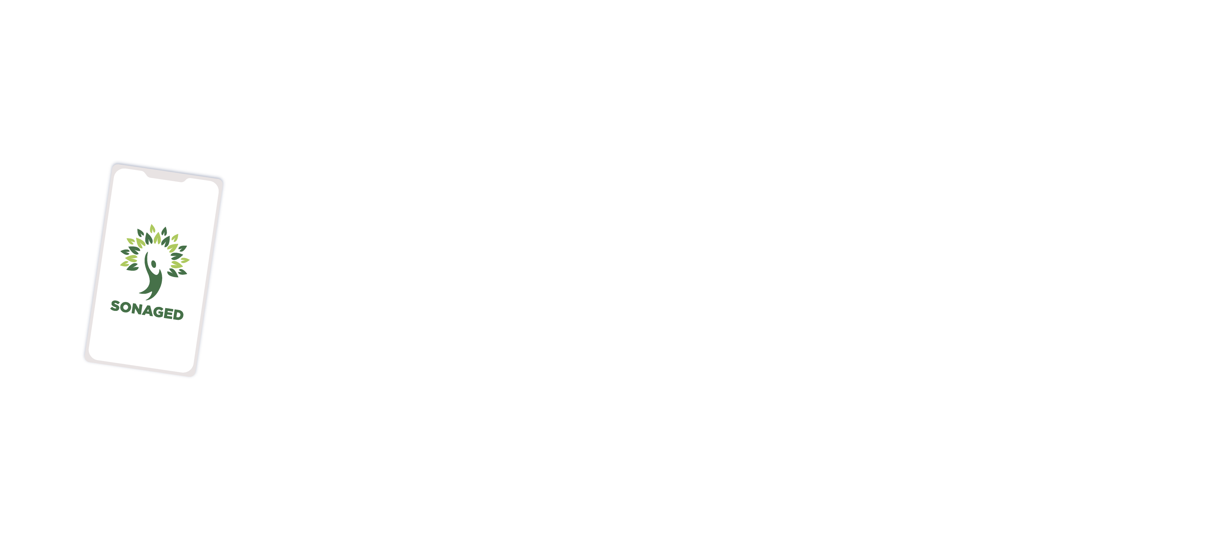 Logo SETALMA blanc